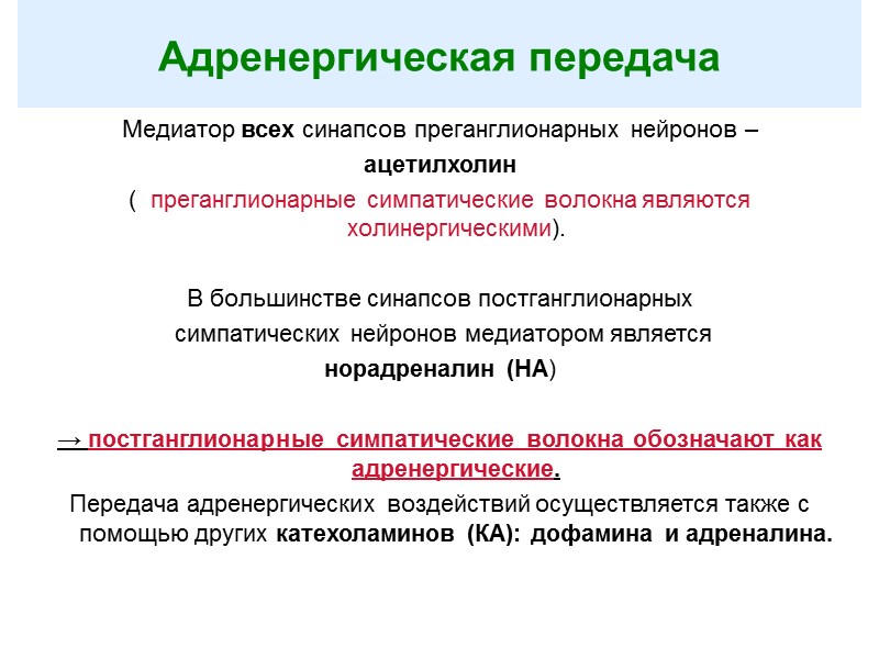 Адренергическая передача Медиатор всех синапсов преганглионарных нейронов –  ацетилхолин  (  преганглионарные